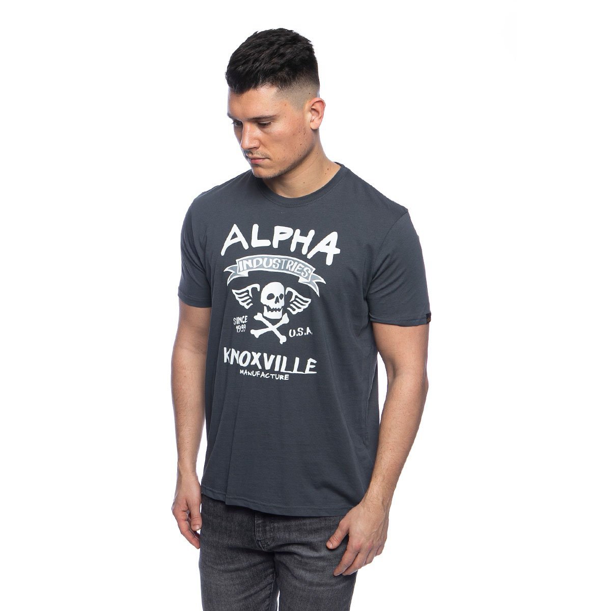 Alpha Skull grey/black T-shirt T Industries