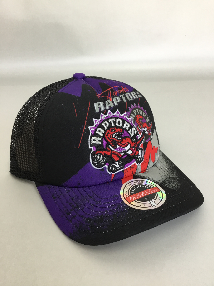 Mitchell and best sale ness raptors hat