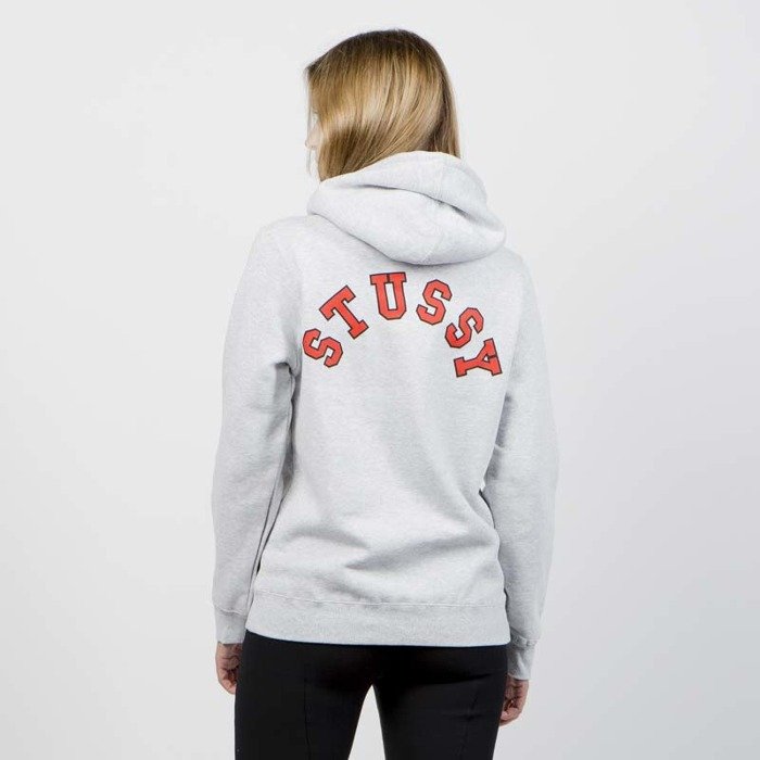 stussy college arc hoodie