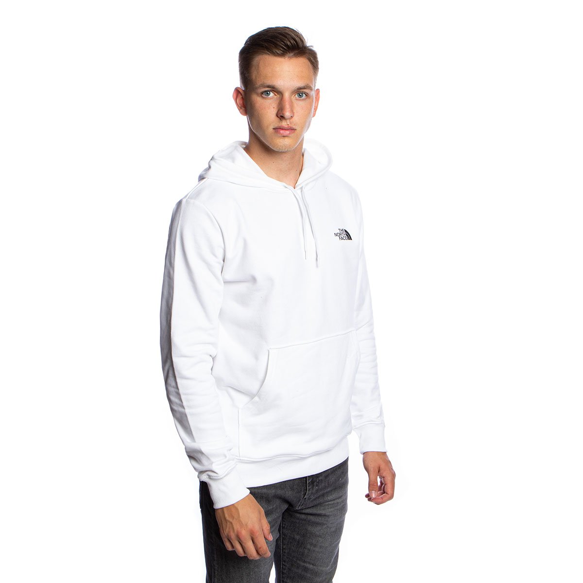 Sweatshirt The North Face Geodome Hoodie white Bludshop