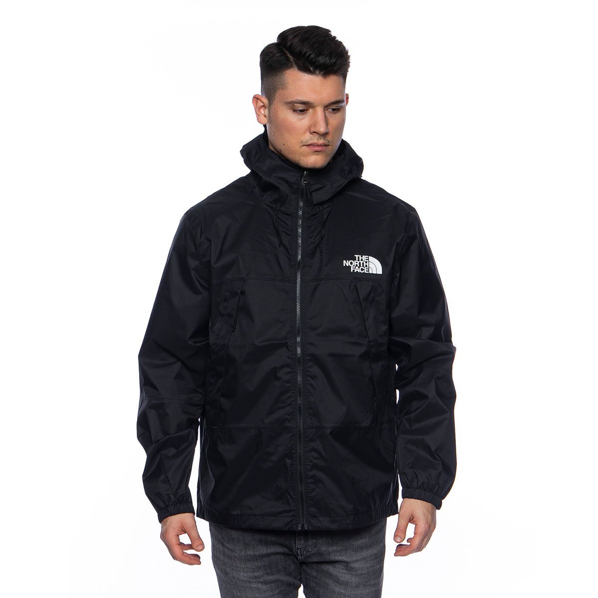 the north face mountain 1990 q jacket