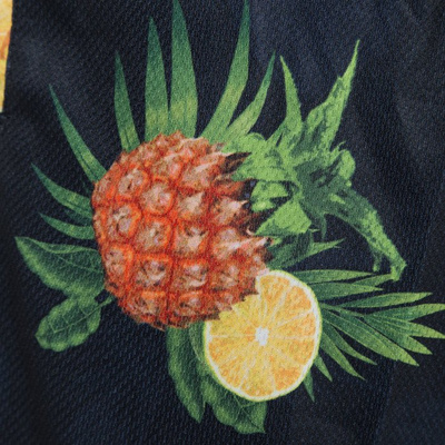 Cayler & Sons szorty Fruity Summer Mesh Shorts navy / mc WL-CAY-SU16-AP-18