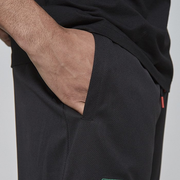 Szorty Cayler & Sons BLACK LABEL CSBL Constrictor MeschShorts black / mc