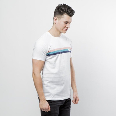 PLNY T-shirt Stripes - white