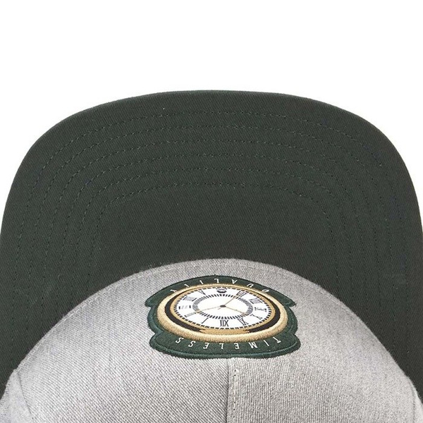 Czapka Cayler & Sons Copper Label C&S CL Timeless Cap grey/forest