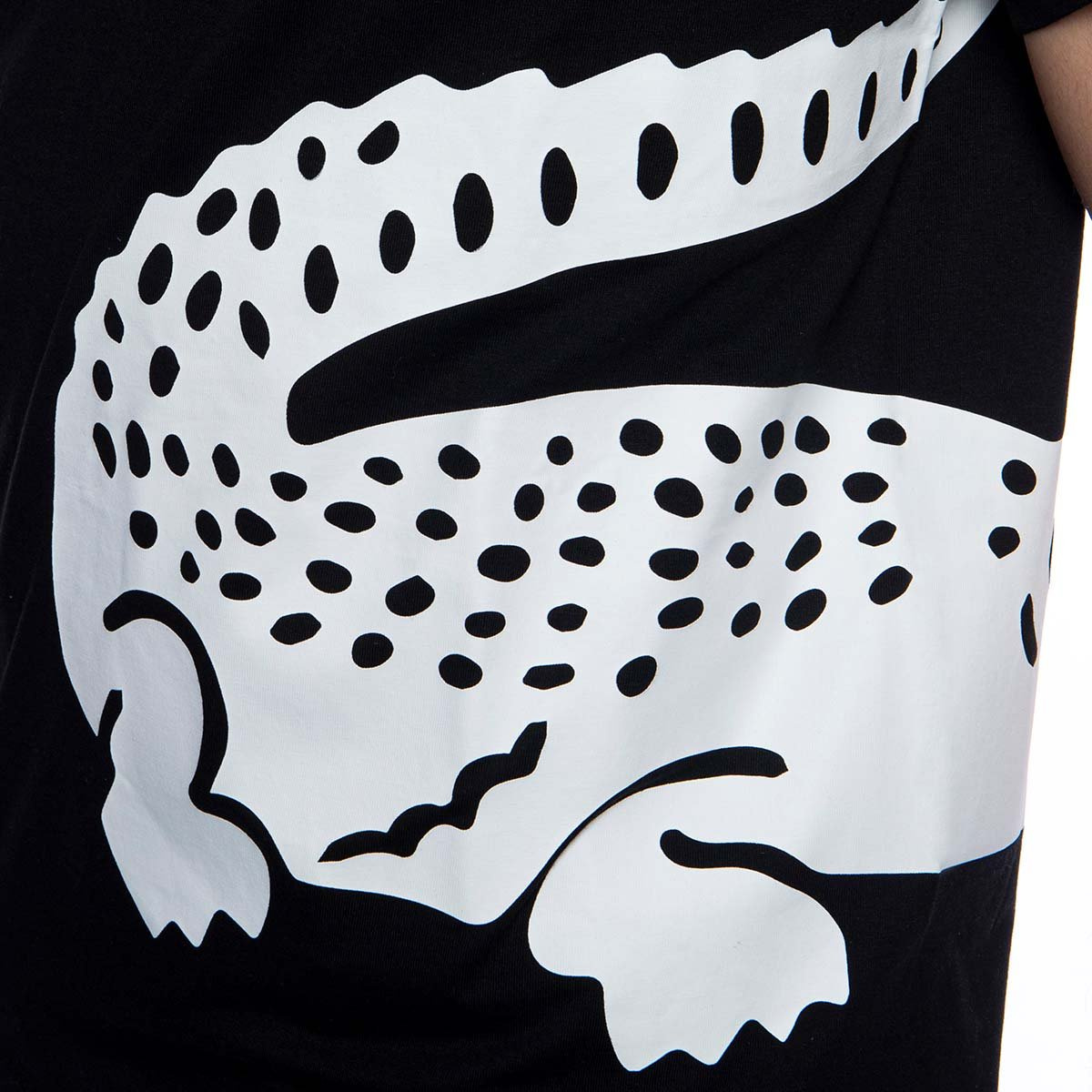 Ultrasonic Testing Lacoste Us Official Website Sweatshirt Lacoste