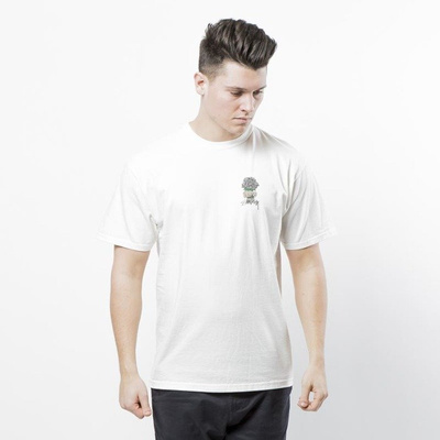 Stussy t-shirt Bouquet Pig Dyed Tee natural