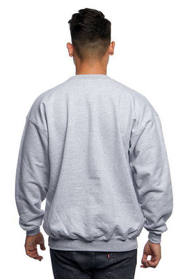 Sweatshirt Thrasher Skate Mag Crewneck gray