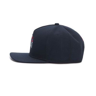 Cayler & Sons BLACK LABEL CSBL Freedom Corps Cap navy / mc