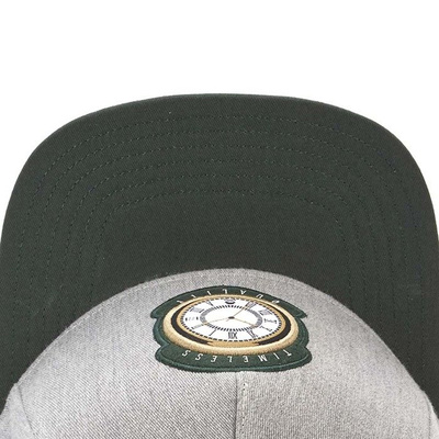 Czapka Cayler & Sons Copper Label C&S CL Timeless Cap grey/forest