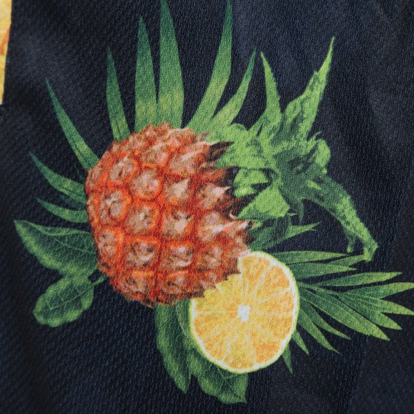 Cayler & Sons szorty Fruity Summer Mesh Shorts navy / mc WL-CAY-SU16-AP-18