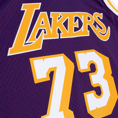 Koszulka Mitchell & Ness Los Angeles Lakers #73 Dennis Rodman Swingman Jersey purple