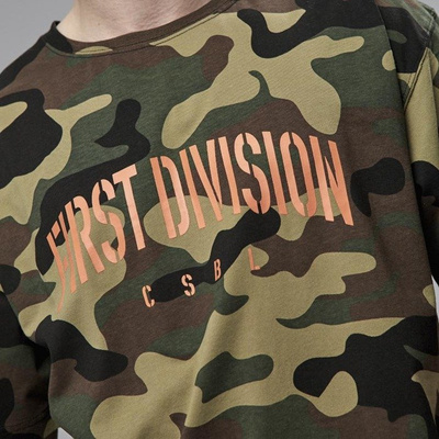 Cayler & Sons Black Label Patched Oversized Tee woodland camo / orange