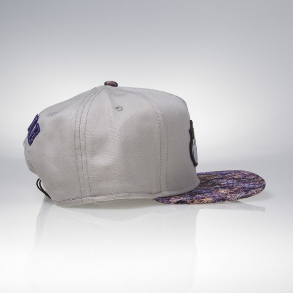 Cayler & Sons snapback czapka Haze Classic Cap grey / purple haze CLASSIC-CAY-SU16-07