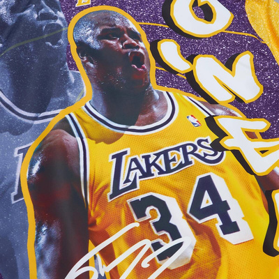 Mitchell & Ness Los Angeles Lakers #34 Shaquille O'Neal Player Burst Warm Up Jacket multi/white