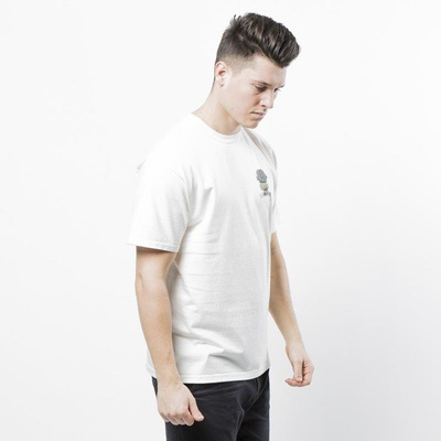 Stussy t-shirt Bouquet Pig Dyed Tee natural