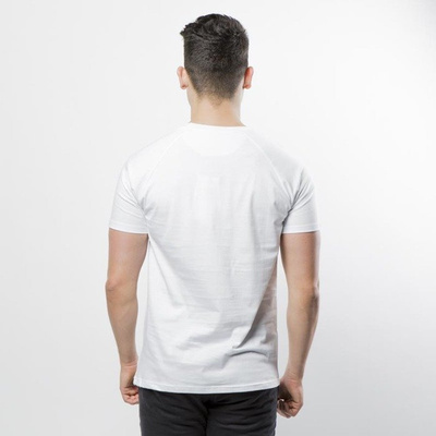 PLNY T-shirt Stripes - white