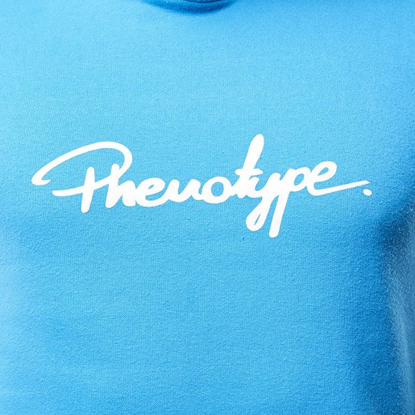 Bluza Phenotype sweatshirt Logo Hoodie azure