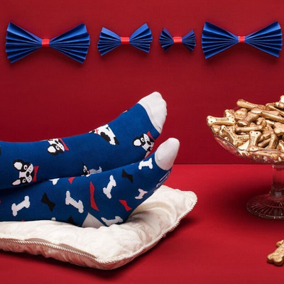 Many Mornings Socks Dog Affair 