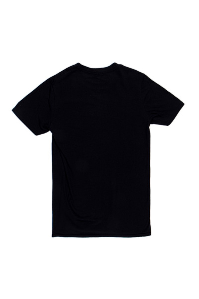 Koszulka Mitchell & Ness Detroit Lions Animal Tee czarna