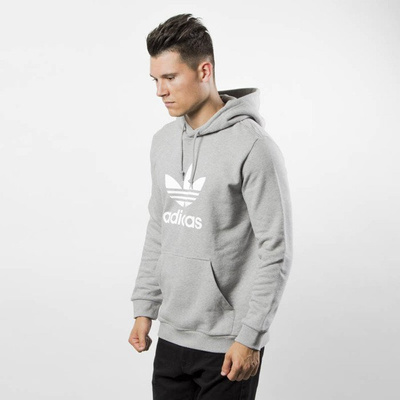 Sweatshirt Adidas Originals Trefoil Hoody medium grey heather DT7963