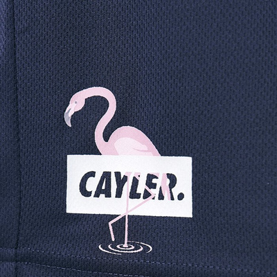 Cayler & Sons WHITE LABEL Camingo Meshshorts navy / mc