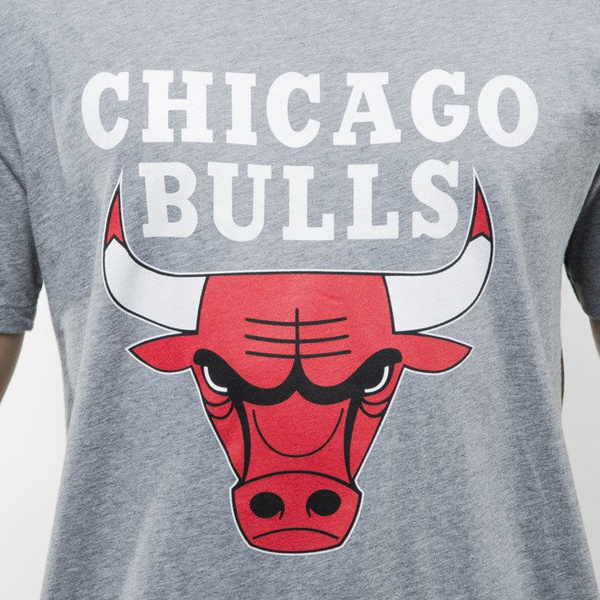 Mitchell & Ness koszulka t-shirt Chicago Bulls grey heather TEAM LOGO Tailored