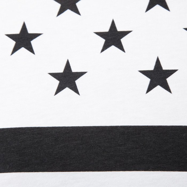 Koszulka Criminal Damage Flagship Long Tee white / black