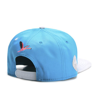 Cayler & Sons Green Label snapback SB Breeze Cap teal / grey / pink / white (GL-CAY-SS16-05)