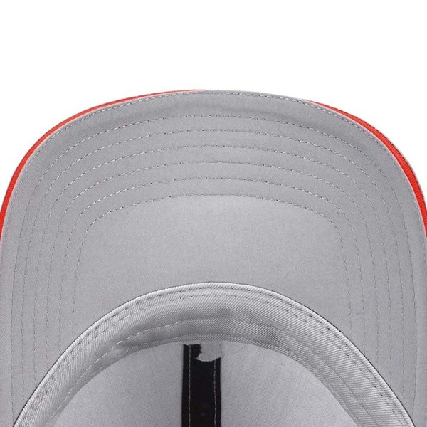 Czapka Cayler & Sons BLACK LABEL CSBL Shifter Curved Cap grey / lazerred