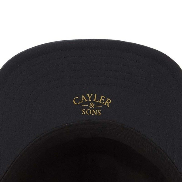Czapka Cayler & Sons C&S WL Make It Rain Plated Cap black / grey