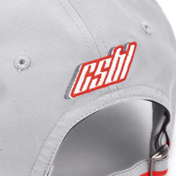 Czapka Cayler & Sons BLACK LABEL CSBL Shifter Curved Cap grey / lazerred