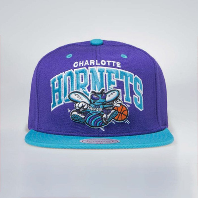 Mitchell & Ness Charlotte Hornets Snapback Cap purple / teal Team Arch 