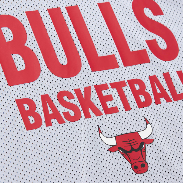 Koszulka Mitchell & Ness Chicago Bulls NBA Reversible Mesh Tank Vintage Logo multi black