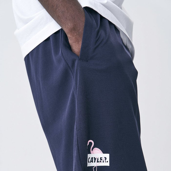 Szorty Cayler & Sons WHITE LABEL Camingo Meshshorts navy / mc
