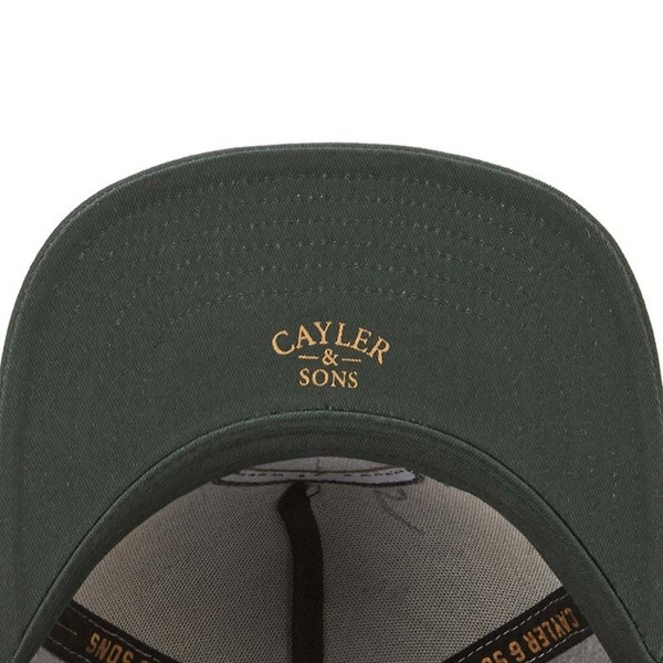 Czapka Cayler & Sons Copper Label C&S CL Timeless Cap grey/forest