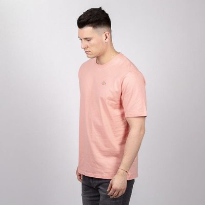 Koszulka Dickies Stockdale T-shirt flamingo