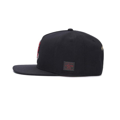 Cayler & Sons C&S WL Anchored Cap black / mc