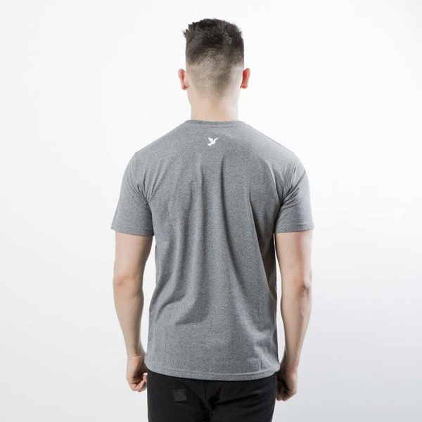 Koszulka Nervous SP18 Brandbox grey