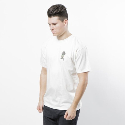Stussy t-shirt Bouquet Pig Dyed Tee natural