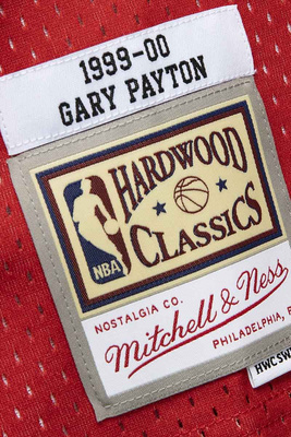 Mitchell & Ness Seattle Supersonics #20 Gary Payton Swingman Jersey red