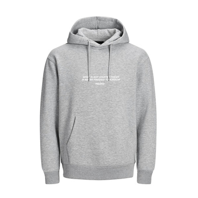 Bluza Majors Still Dreaming Hoodie szara