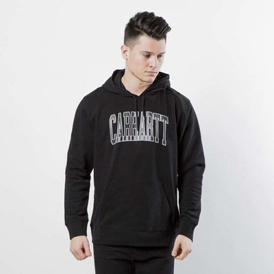 Carhartt WIP Hooded Division Sweat black / multicolor I024675