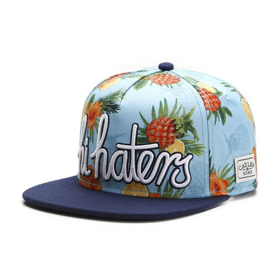 Cayler & Sons White Label snapback Hi Haters Cap light blue / navy WL-CAY-SU16-21
