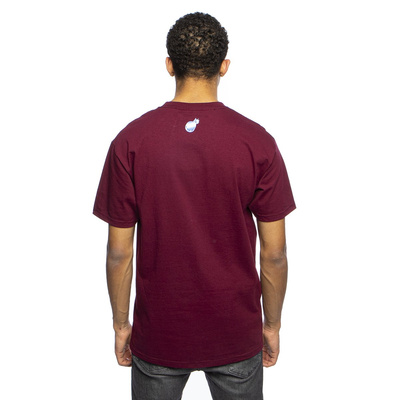 Koszulka The Hundreds Beyond Slat T-shirt bordowa