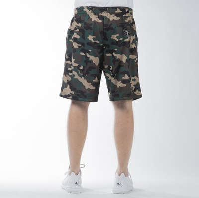 Szorty Cayler & Sons WL BKNY Mesh Shorts woodland / mc (WL-CAY-SS16-AP-43)