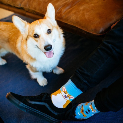 Many Mornings skarpety Playful Dog