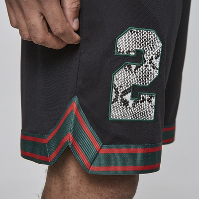 Szorty Cayler & Sons BLACK LABEL CSBL Constrictor MeschShorts black / mc