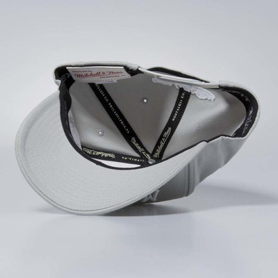 Mitchell & Ness snapback Own Brand silver cloud Pinscript High Crown110 