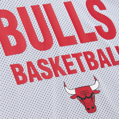 Koszulka Mitchell & Ness Chicago Bulls NBA Reversible Mesh Tank Vintage Logo multi black